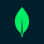 Image of MongoDB logo